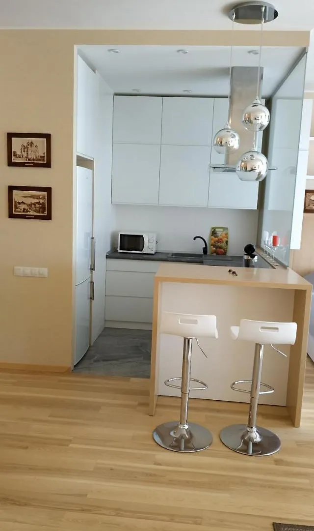 Comfortable Apartments French Quarter Акумулятори Світло Інтернет Завжди Kyiv